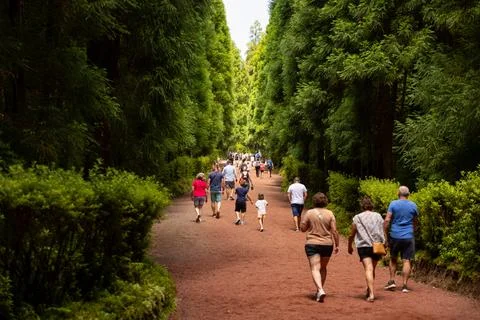 View to path with big trees in "Grota do Inferno". Sete Cidades, Azores Stock Photos