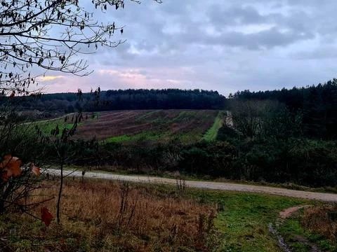 A view of a path, farm fields and trees with a beautiful grey sky Photos