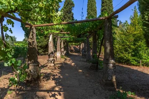 View of a path with old stone pillars with vineyard, staircase in granite as Stock-Fotos