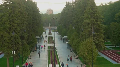 Up view of path in park full of people who walk with umbrellas and ride bicycles Stock Footage 145423545