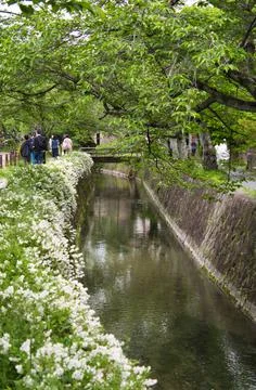 A view of the Path of Philosophy in springtime.  Kyoto  Japan Stock Photos