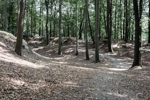 View of paths in the forest with hilly relief. Landscape concept, background. Stock Photos