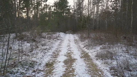 A view of the pathway in the forest with the trees on the side Stock Footage 139352170