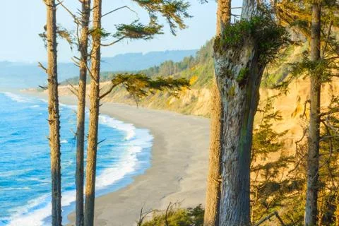 View from patricks point state park, california. Stock Photos
