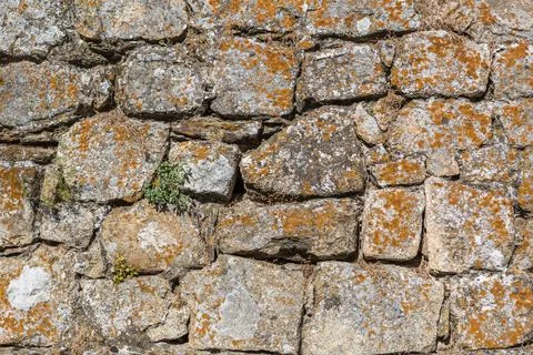 View of pattern with exterior wall texture of old building made in paired Foto stock