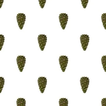 View of pattern pine tree cone isolated on light white background.  Postcard. Foto stock