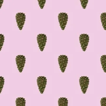 View of pattern pine tree cone isolated on light pink background.  Postcard. Foto stock