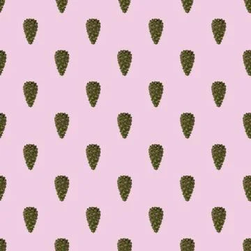 View of pattern pine tree cone isolated on light pink background. Stockfoto's