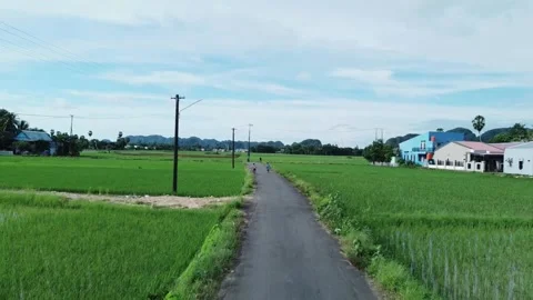 View of the paved road at the edge of the rice fields Stock Footage 281921273