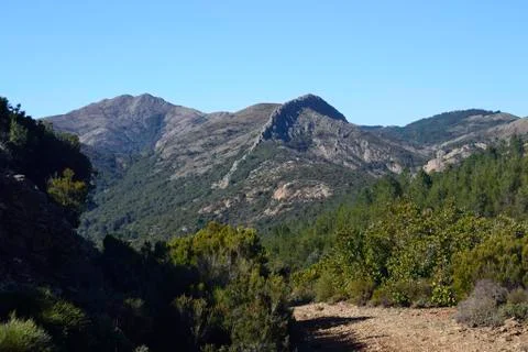 View of peak of Monte Murumannu Stock-Fotos