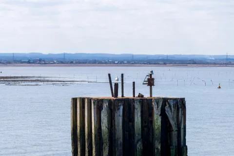 A view of pebble beach and seafront, Whitstable Seafront, Kent, UK Stock Photos