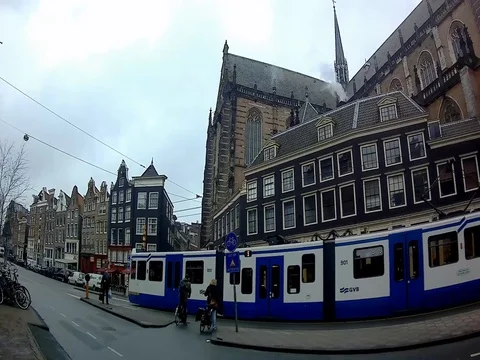 View of the pedestrian crossing, 2 trams moving, morning, Amsterdam Video stock 73522347