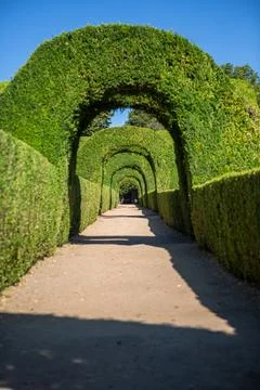View of a pedestrian path on iconic and geometric classic baroque garden Stock Photos