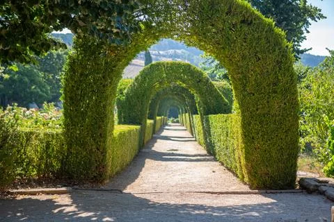 View of a pedestrian path on iconic and geometric classic baroque garden Stock Photos