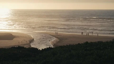 View of people on a beach at sunset Stock-Footage 290957785