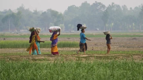 View of people carrying loads on their heads in Bogura, Bangladesh. Video stock 334971876