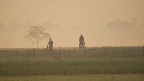 View of people cycling through misty fields in Bogura, Bangladesh. Vídeos de archivo 335593670