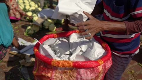 View of people packing cauliflower into large baskets, Bangladesh. Video stock 335018356