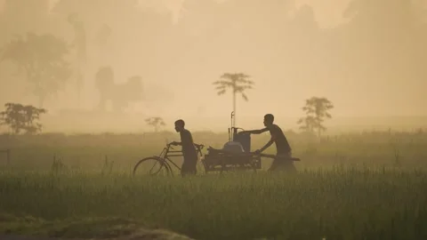 View of people pushing a cart through misty fields, Bangladesh. Vídeo Stock 335591556