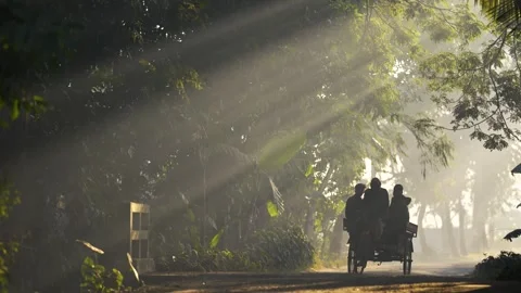 View of people on a rickshaw under sunbeams in Bogura, Bangladesh. Video stock 335551775