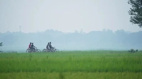 View of people riding bicycles through misty green fields, Bangladesh. Video stock 334962556