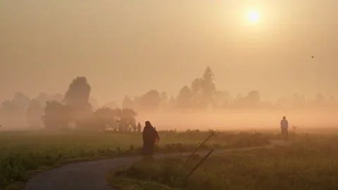 View of people on a rural path during a foggy sunrise, Bangladesh. Видео 335589960