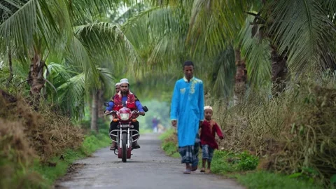 View of people on a rural road lined with palm trees, Bangladesh. Video stock 334991636