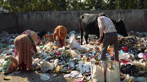 View of people scavenging in a garbage dump in Bogura, Bangladesh. Vídeos de archivo 335653971