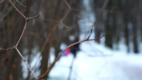 View of the people walking around in the winter using a tree branch Stock Footage 93851145