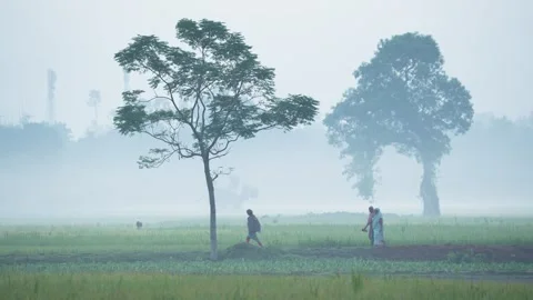 View of people walking in a misty field, Bangladesh. 스톡 동영상 335550438