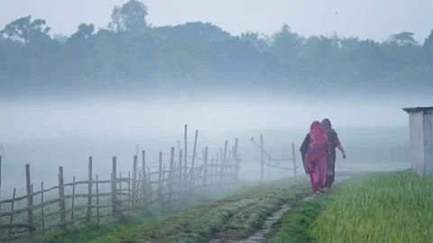 View of people walking on a misty path in Bogura, Bangladesh. Vídeos de archivo 335588573
