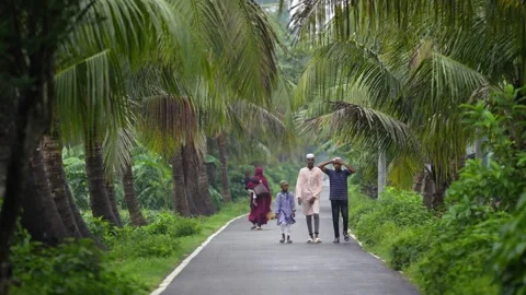 View of people walking on a palm-lined road in Bogura, Bangladesh. Stock Footage 334991816