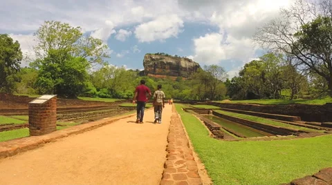 View of people walking in park below fro... | Stock Video | Pond5