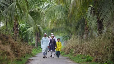 View of people walking on a path lined with palm trees, Bangladesh. Video stock 334991050
