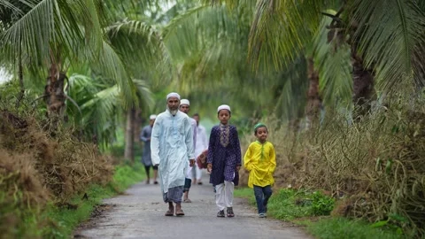 View of people walking on a path lined with palm trees, Bangladesh. Video stock 334991705