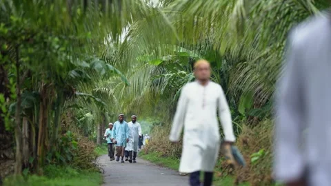 View of people walking on a path lined with palm trees, Bangladesh. Video stock 334991733