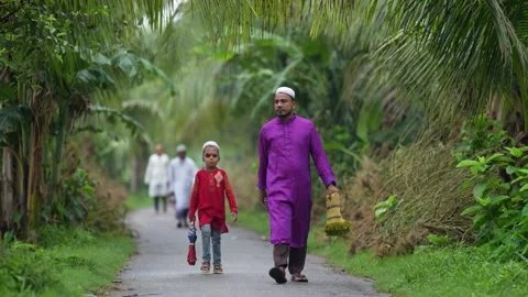 View of people walking on a path through palm trees, Bangladesh. Vídeo Stock 334991755