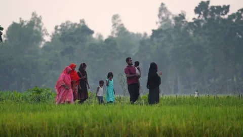 View of people walking through a green field in Bogura, Bangladesh. Video stock 334968717