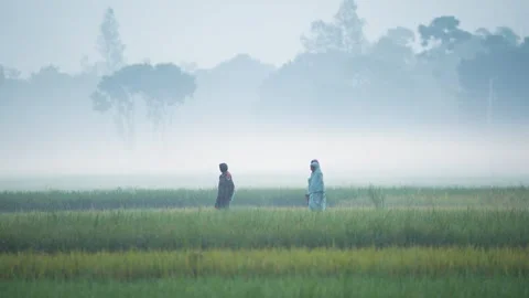 View of people walking through a misty field in Bogura, Bangladesh. Video stock 335550401