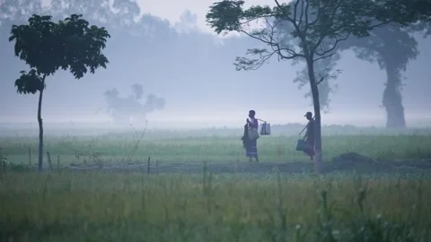 View of people walking through misty fields in Bogura, Bangladesh. Video stock 335550755