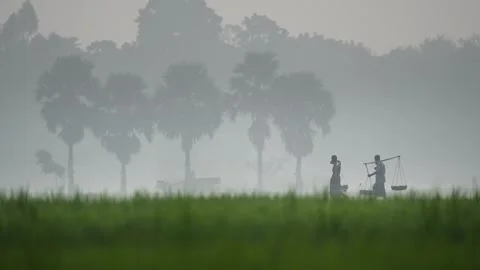View of people walking through a misty field in Bogura, Bangladesh. Stock Footage 335586530