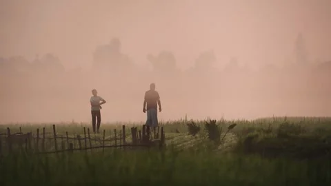 View of people walking through a misty field in Bogura, Bangladesh. Vídeo Stock 335589498