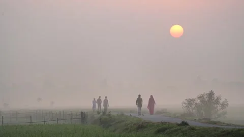 View of people walking through misty fields at dawn, Bangladesh. Video stock 335596150