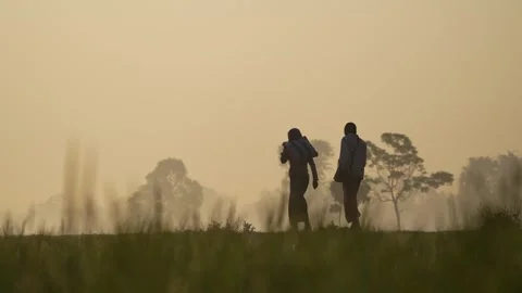 View of people walking through a misty field at dawn, Bangladesh. Stock Footage 335598150