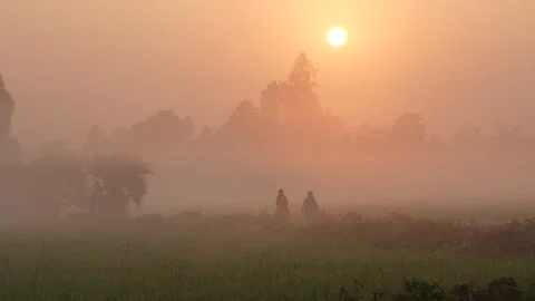 View of people walking through misty fields at sunrise, Bangladesh. Stockbeeldmateriaal 335619683