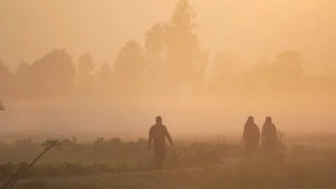 View of people walking through thick golden mist at sunrise, Bangladesh. Видео 335599572