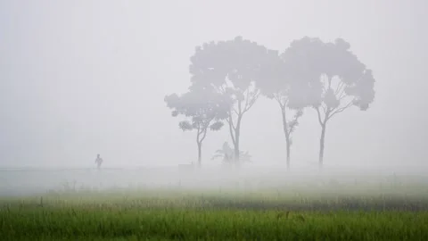 View of people walking through thick mist in Bogura, Bangladesh. Vídeos de archivo 335616792