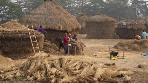 View of people working near large straw stacks in Patna, India. Vídeo Stock 335483432