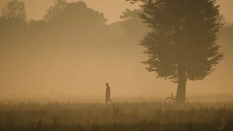 View of a person with a bicycle under a tree in Bogura, Bangladesh. Stock-Footage 335588670