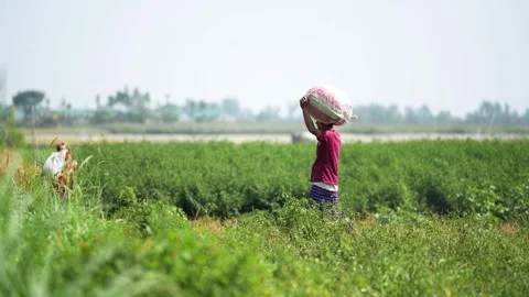 View of a person carrying a sack on their head, Bangladesh. Video stock 334948044
